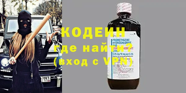 крисы Бородино