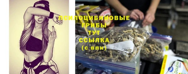 крисы Бородино