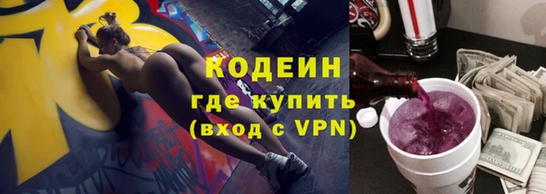 крисы Бородино