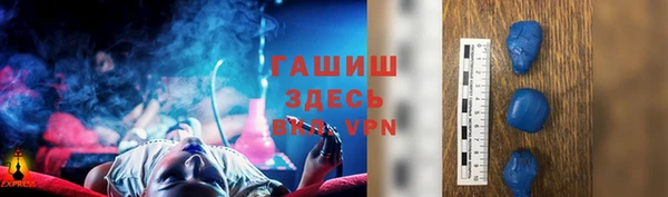 крисы Бородино