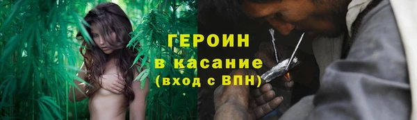 крисы Бородино