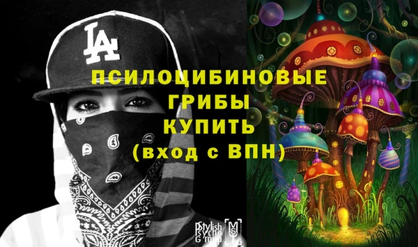 крисы Бородино