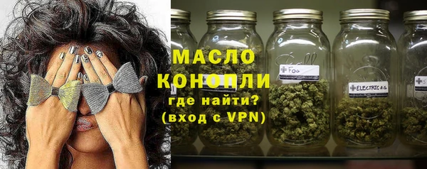 крисы Бородино