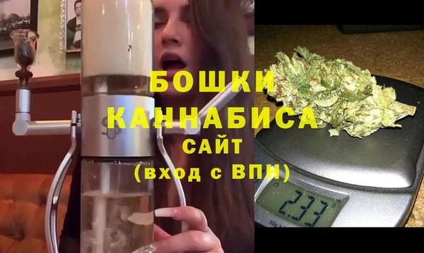 крисы Бородино
