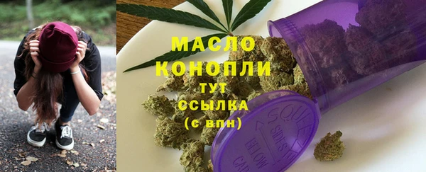 крисы Бородино
