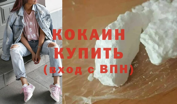 крисы Бородино