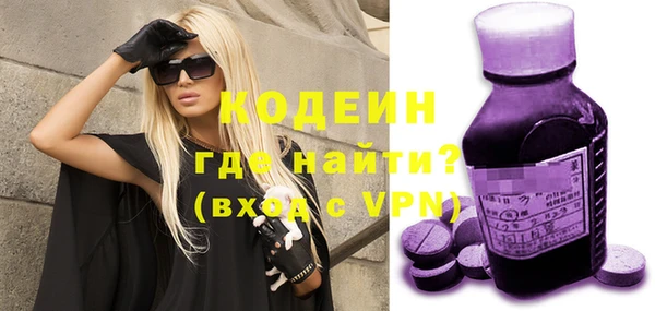 крисы Бородино