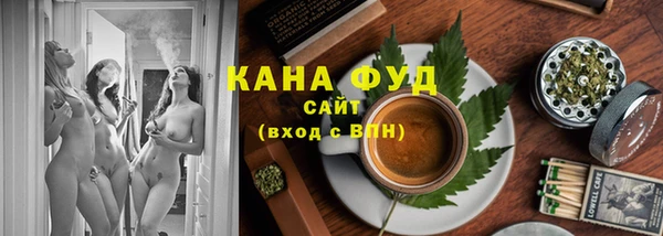 крисы Бородино